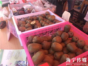 海宁丰收节盛况 舞龙欢腾，新鲜农产品与水果热销
